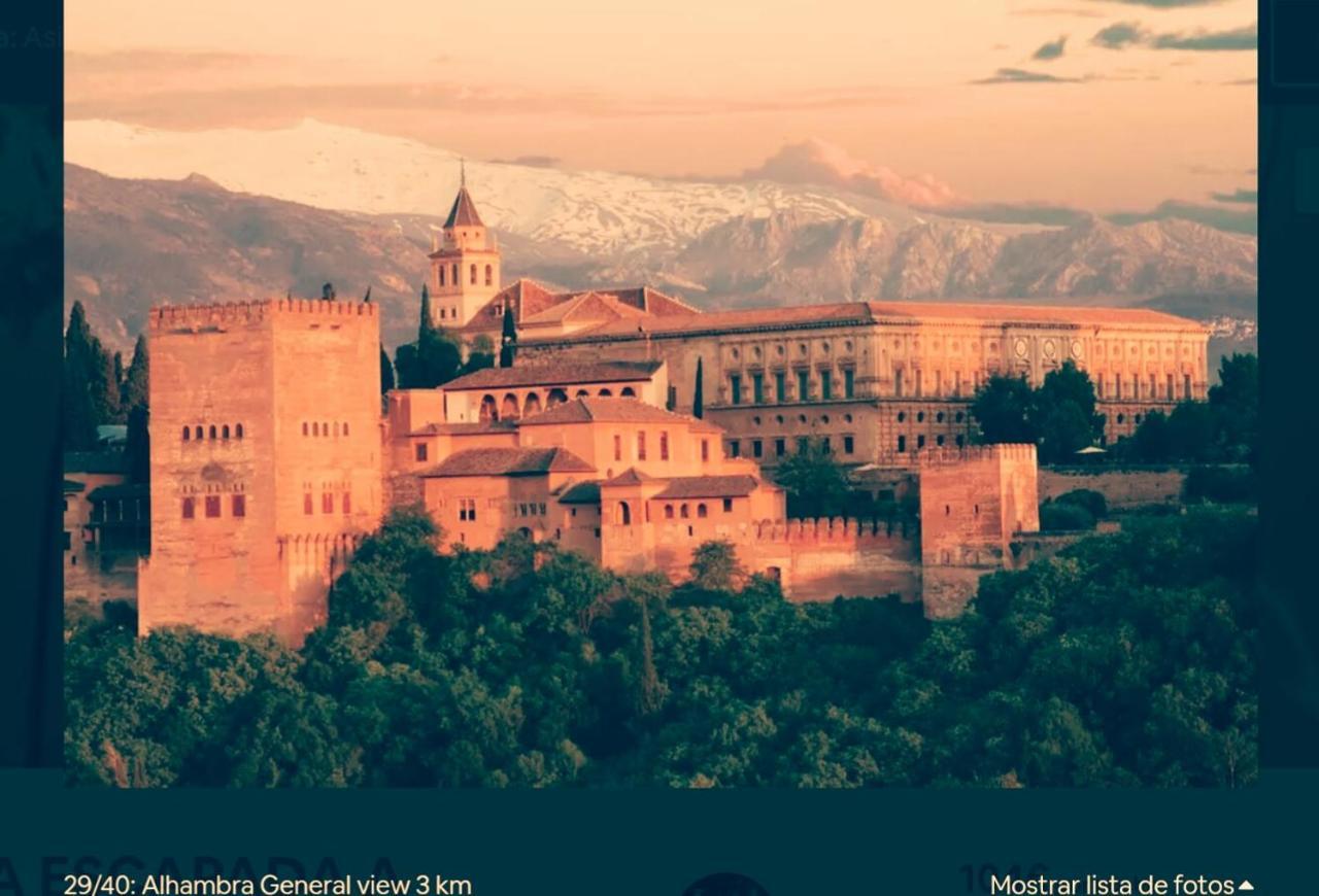 Confort By Congress Palace Granada Exterior photo